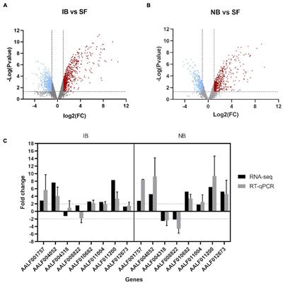 Blood Meals With Active and Heat-Inactivated Serum Modifies the Gene Expression and Microbiome of Aedes albopictus